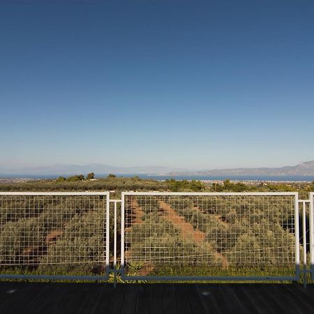 Zevgolateíon Country Villa Peloponnese With Tennis Court And Pool מראה חיצוני תמונה